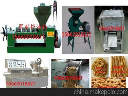 安徽省青阳人造肉机价格 豆皮机生产厂家 豆制品机械加工图片1
